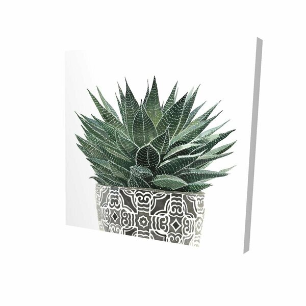 Fondo 16 x 16 in. Zebra Plant Succulent-Print on Canvas FO3337982